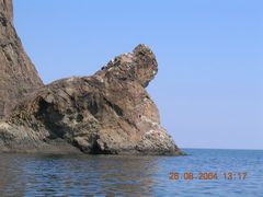 Морской лев