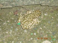 Нет комментария