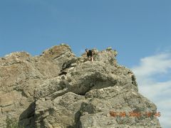 Нет комментария